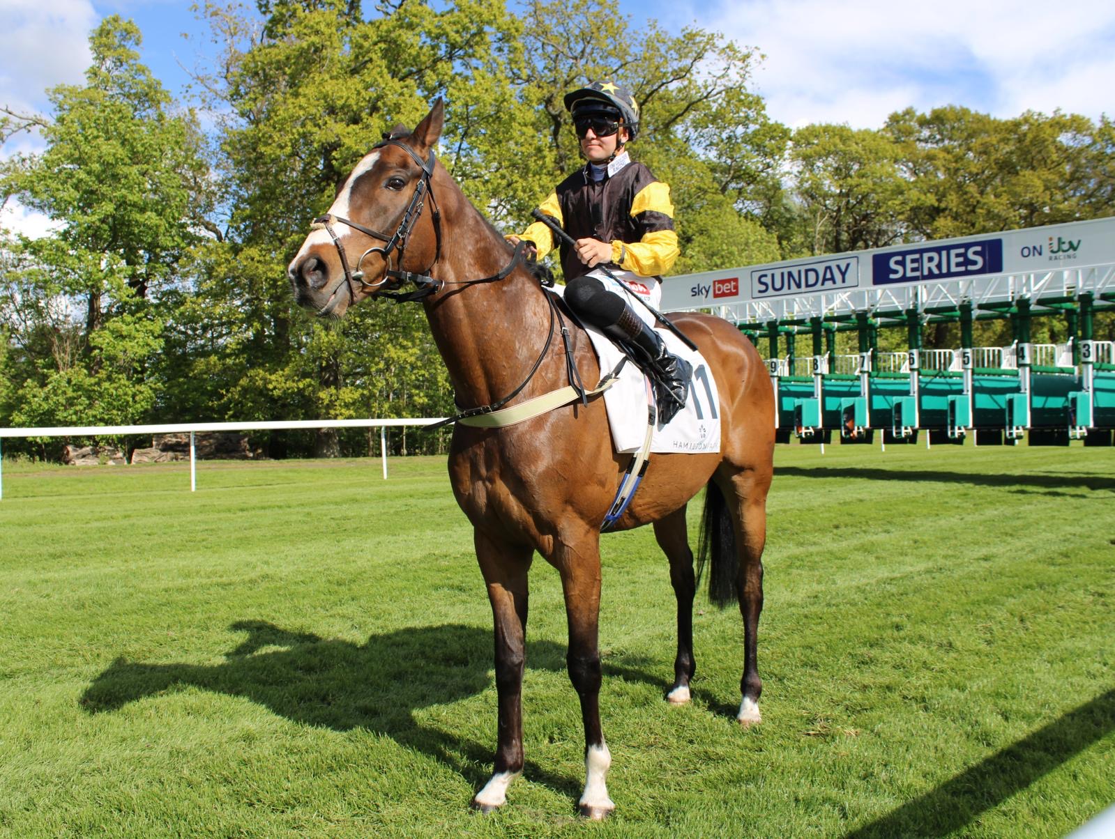 JDR horse and jockey at Hamilton Park