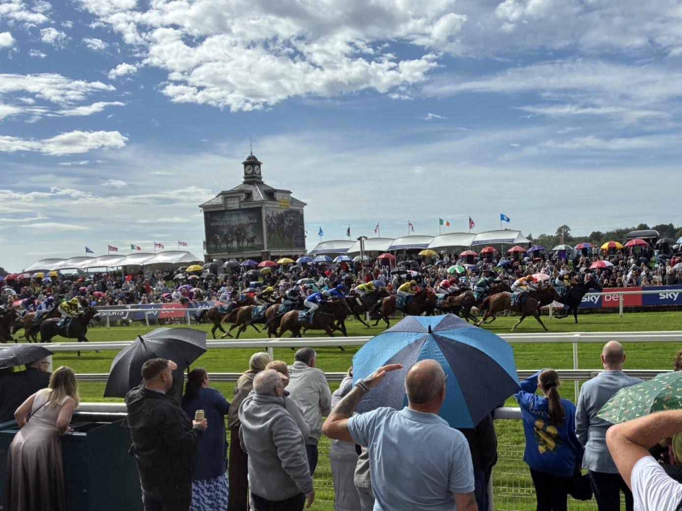 A JDR horse leading the field on a busy race day